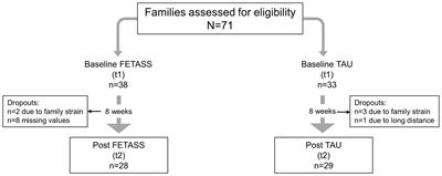 Preliminary Evaluation of the FETASS Training for Parents of Children With Autism Spectrum Disorder: A Pilot Study